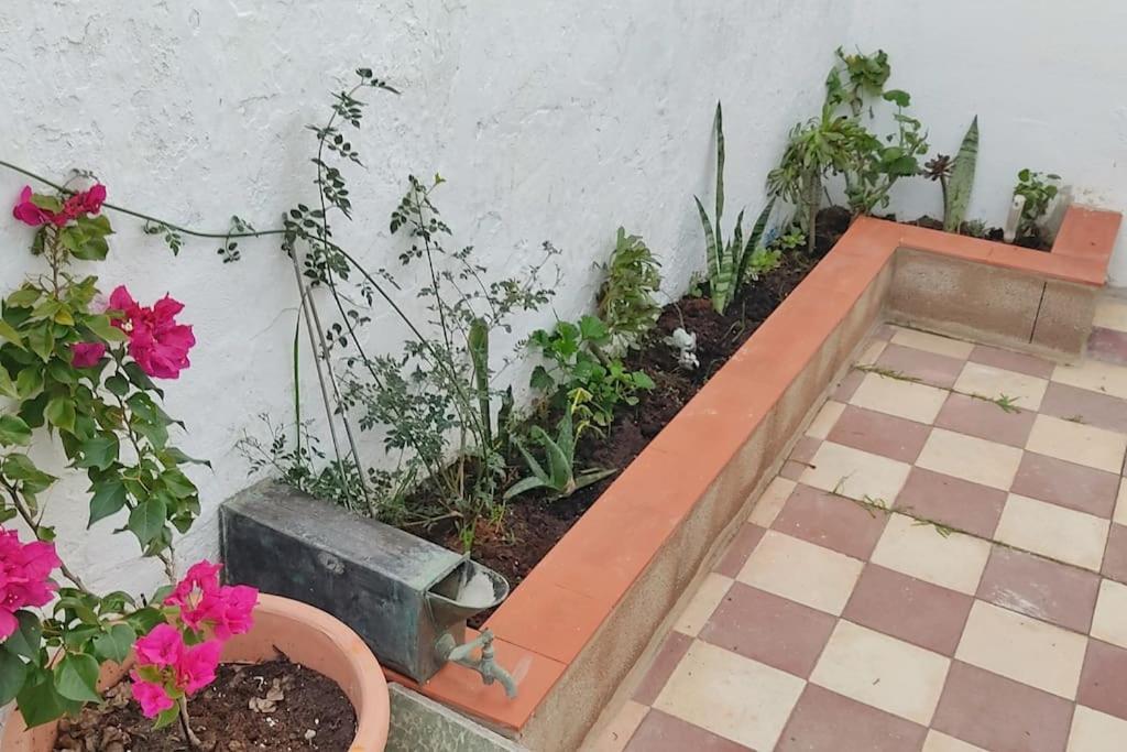 Villa Casa Dos Mareas Isola Cristina Esterno foto